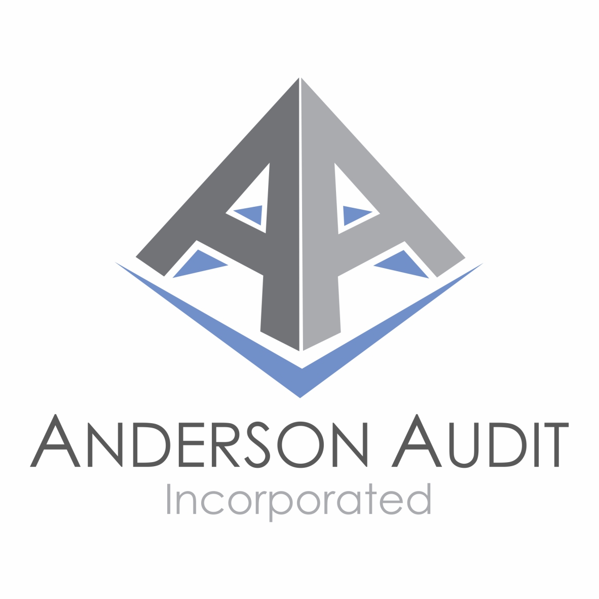 Anderson Audit