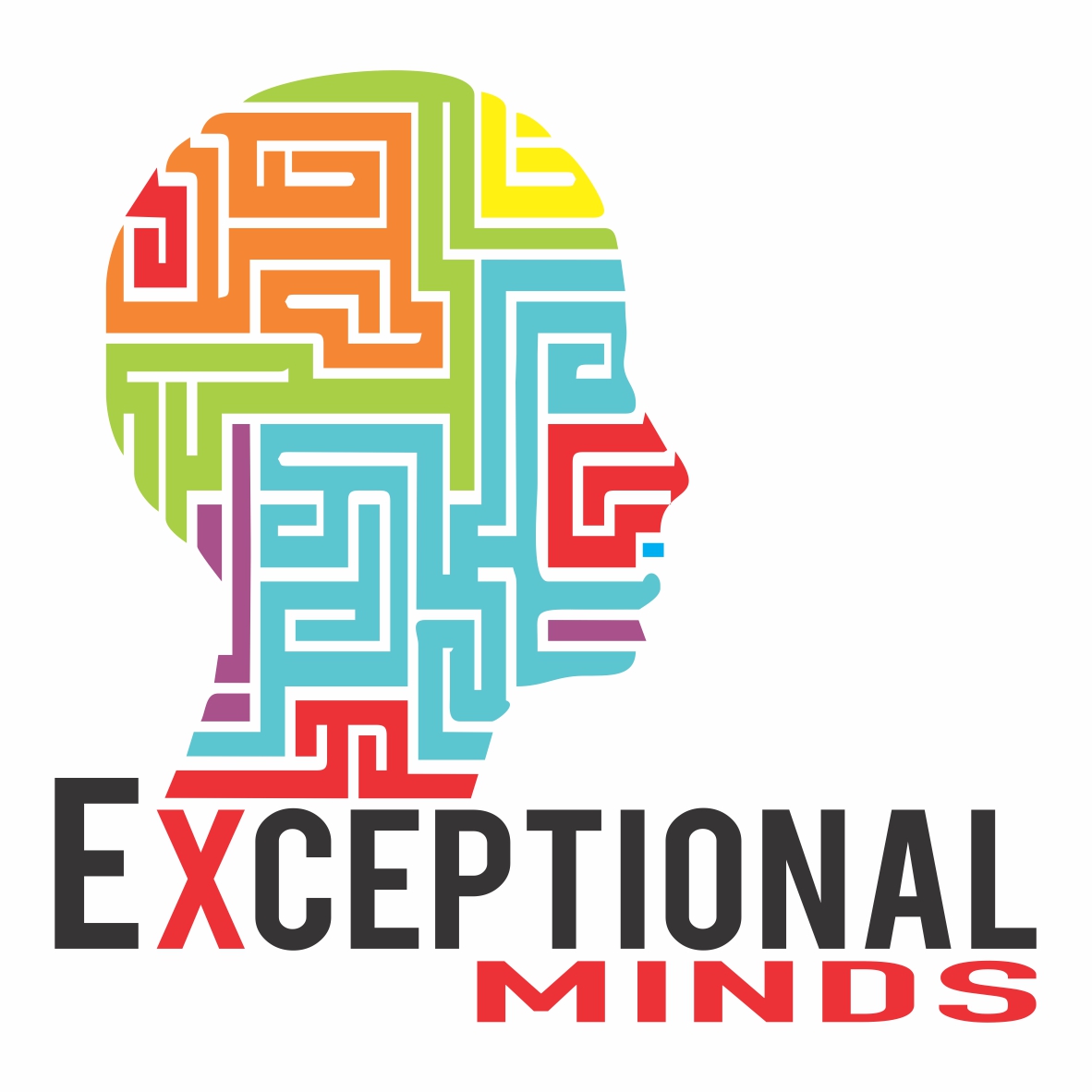 Exceptional Minds